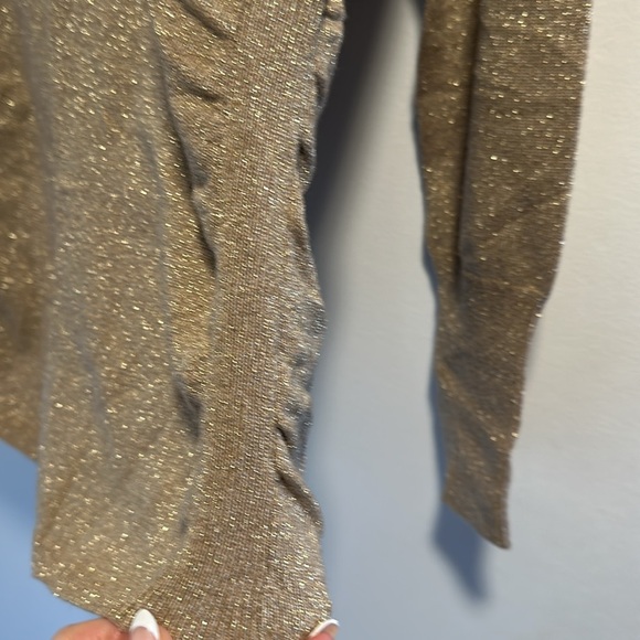 Gold Metallic Holiday Sweater Banana Republic EUC.
Size M - Picture 4 of 6